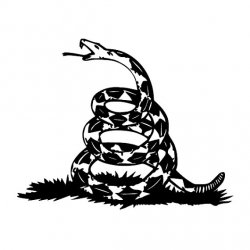 dont tread on me Meme Template