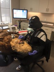 Star Wars Vader Chewie Dentist Meme Template