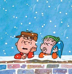 Charlie Brown and Linus Meme Template