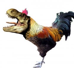 Chickensaurus Rex Meme Template