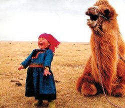 Happy Kid Camel Meme Template