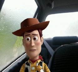 Introspective Woody Meme Template
