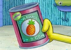 pineapple can Meme Template