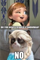 Grumpy cat frozen Meme Template
