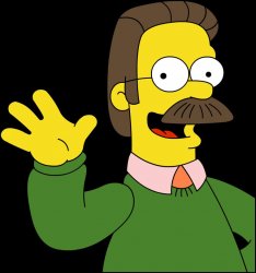 ned flanders Meme Template