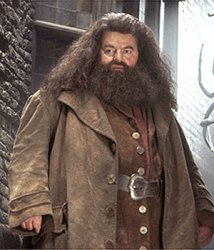 Hagrid Meme Template