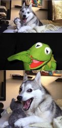 perverted Kermit Meme Template