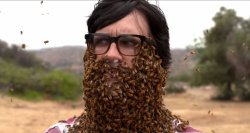 Link's Bee Beard Meme Template