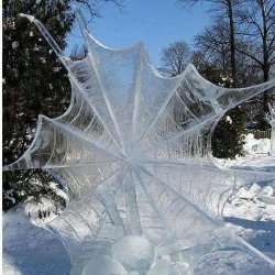 Frozen Spider Web Meme Template