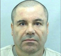 el chapo  Meme Template