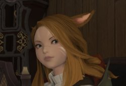 Healer Miqo'te Meme Template