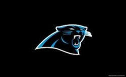 Carolina Panthers Meme Template