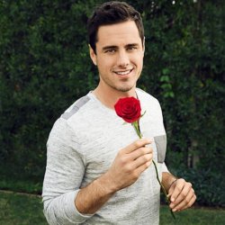 Bachelor Meme Template