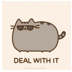 Pusheen Deal With It Meme Template
