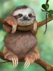 Baby Sloth1 Meme Template