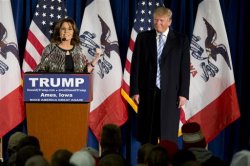 Trump Palin Meme Template