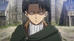 Levi, No Meme Template