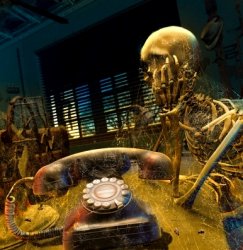 Skeleton waiting for dusty phone to ring Meme Template