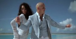 timber pitbull Meme Template