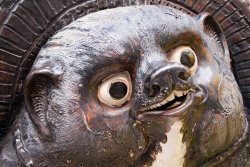 tanuki Meme Template