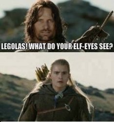 Elf eyes see Meme Template