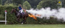 horse on fire Meme Template
