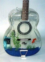 Fish bowel guitar Meme Template