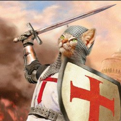 Crusader Cat Meme Template