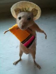 Mexican mouse Meme Template