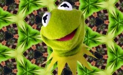 But That's None Of My Acid Meme Template