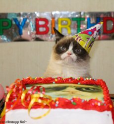 Grumpy Cat Birthday Meme Template