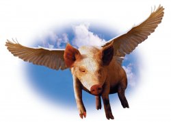 Flying Pigs Meme Template