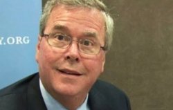 Jeb Bush Meme Template