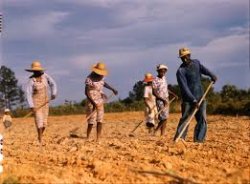 Sharecropping Meme Template