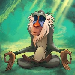 rafiki meditates Meme Template