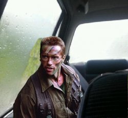 Introspective Arnie Meme Template