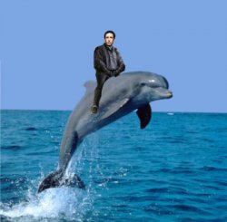 Trent Reznor's Imaginary Porpoise Meme Template