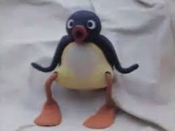 Pingu Meme Template