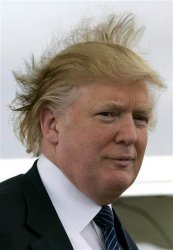 Trump's Hair Meme Template