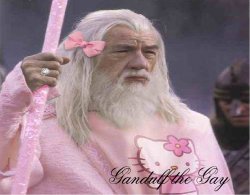 Gandalf the Fabulous  Meme Template