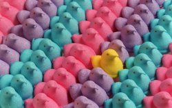 peeps Meme Template