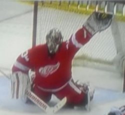 petr mrazek Meme Template