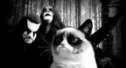 black metal grumpy cat Meme Template
