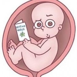 Baby Eviction Notice Meme Template