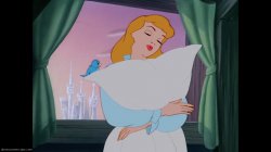 Cinderella A Dream is a Wish Meme Template