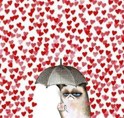 grumpy valentine Meme Template