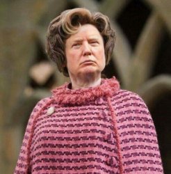 Trump umbridge  Meme Template