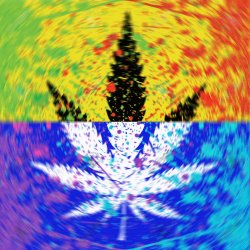 #33Psychedelic Meme Template