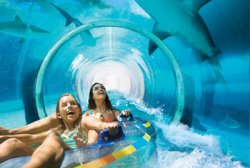 water slide Meme Template