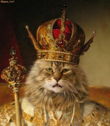 King cat Meme Template
